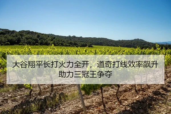 大谷翔平长打火力全开，道奇打线效率飙升助力三冠王争夺