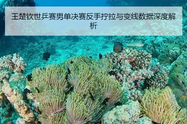 wang-chu-qin-shi-ping-sai-nan-dan-jue-sai-fan-shou-ning-la-yu-bian-xian-shu-ju-shen-du-jie-xi-2-235.jpg