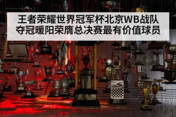 王者荣耀世界冠军杯北京WB战队夺冠暖阳荣膺总决赛最有价值球员