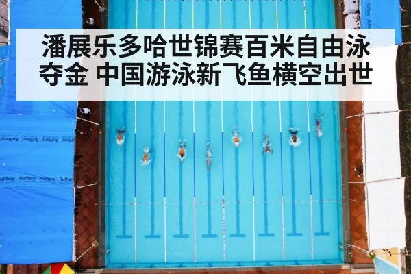 潘展乐多哈世锦赛百米自由泳夺金 中国游泳新飞鱼横空出世